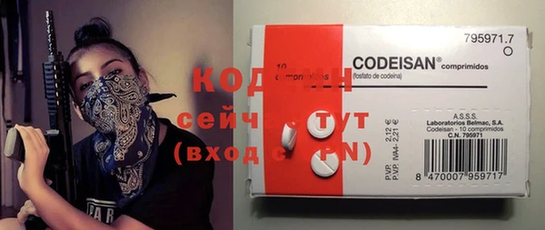 ECSTASY Няндома