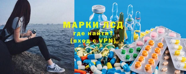 твердый Новозыбков