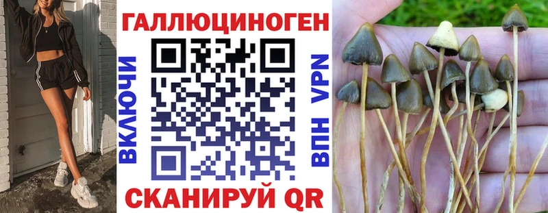 купить наркотики цена  Аксай  Псилоцибиновые грибы прущие грибы 