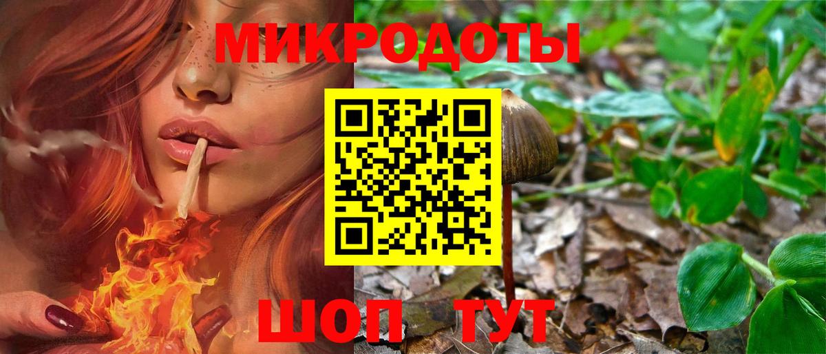 Аксай  Псилоцибиновые грибы мицелий  Вход с VPN 